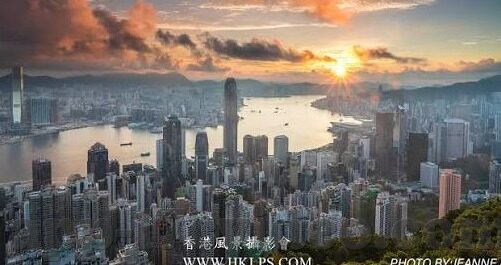 在线成人视频-在线成人视频，数字时代下的文化与伦理边界